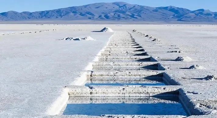Elon Musk is "interested" in Argentine lithium and will open Starlink service in the country - President Milei