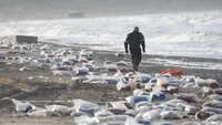 A cargo ship has lost dozens of containers off the coast of Denmark: 14 kilometers of beach covered with shoes, refrigerators and medicines
