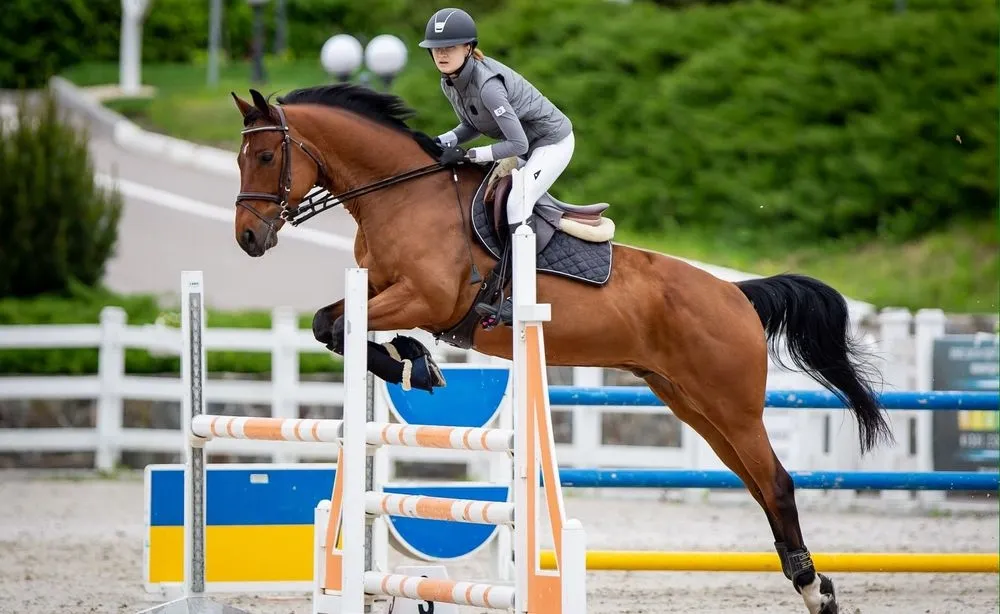 Media: Russian and Belarusian equestrian athletes will not be allowed to participate in the 2024 Olympics