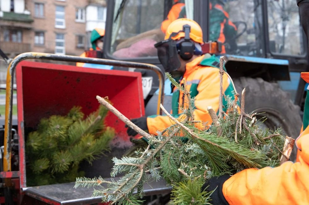 Starting January 4, 44 Christmas tree recycling centers will open in Kyiv