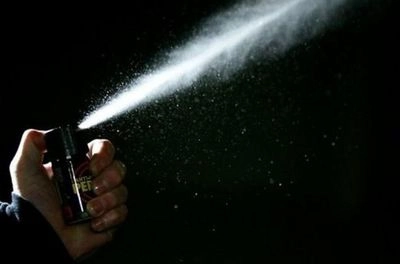 Sprayed pepper gas in the eyes of a border guard: an aggressive offender was detained near the border with Romania 