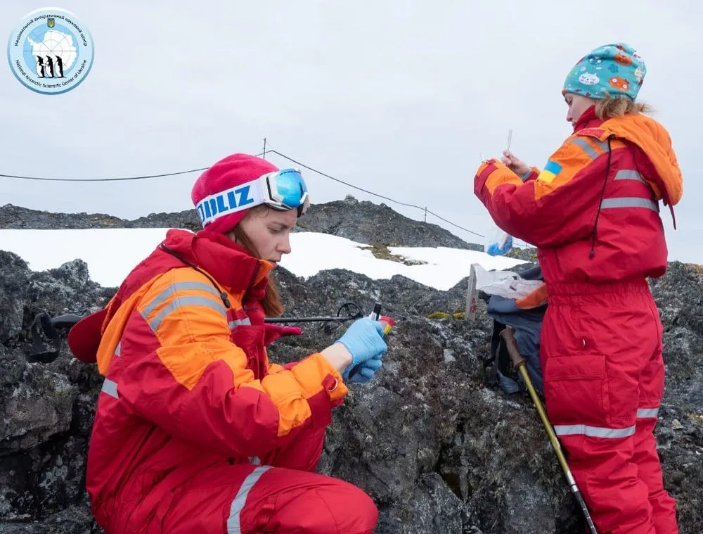 Украина продолжит исследования в Антарктике: правительство приняло решение