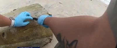 В Австралії на пляж винесло пакети з 124 кг кокаїну