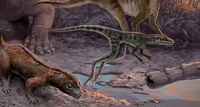 Dinosaurs may be to blame for human aging
