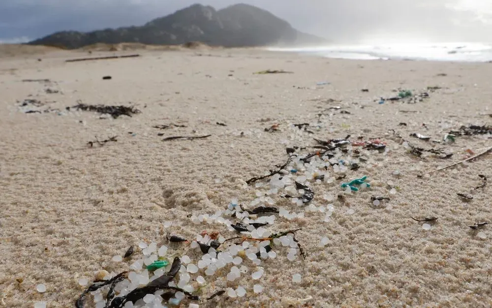Пляжам Галисии грозит экологическая катастрофа из-за миллионов гранул, которые потерял контейнеровоз в португальских водах