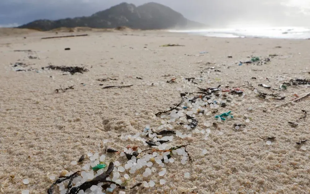 Galician beaches face environmental disaster due to millions of pellets lost by container ship in Portuguese waters