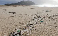 Galician beaches face environmental disaster due to millions of pellets lost by container ship in Portuguese waters