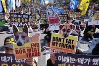 South Korea passed a law to stop eating dog meat