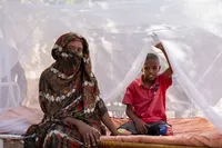 В Африці вперше за 50 років країна на південь від Сахари отримала статус вільної від малярії