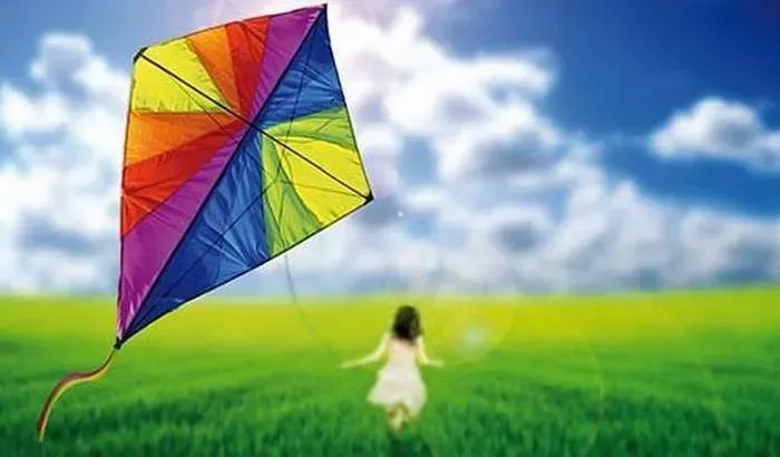 international-kite-day-world-logic-day-old-new-year-what-else-can-be-celebrated-on-january-14