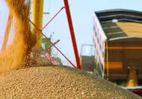 Східні країни ЄС вимагають ввізних мит на українське зерно - Reuters