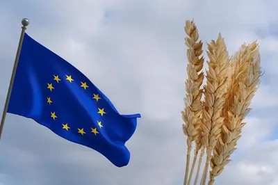 П’ять країн ЄС вимагають від Єврокомісії запровадити мито на українське зерно