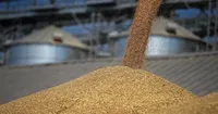 Країни Балтії виступають за заборону імпорту російського зерна до ЄС – литовський міністр транспорту