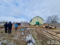 Топчутся по костям: полиция открыла производство из-за ужасных условий в приюте для животных на Киевщине