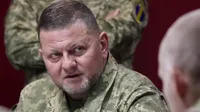 "Наше единство - наше оружие": Залужный обратился к украинцам по случаю Дня Соборности