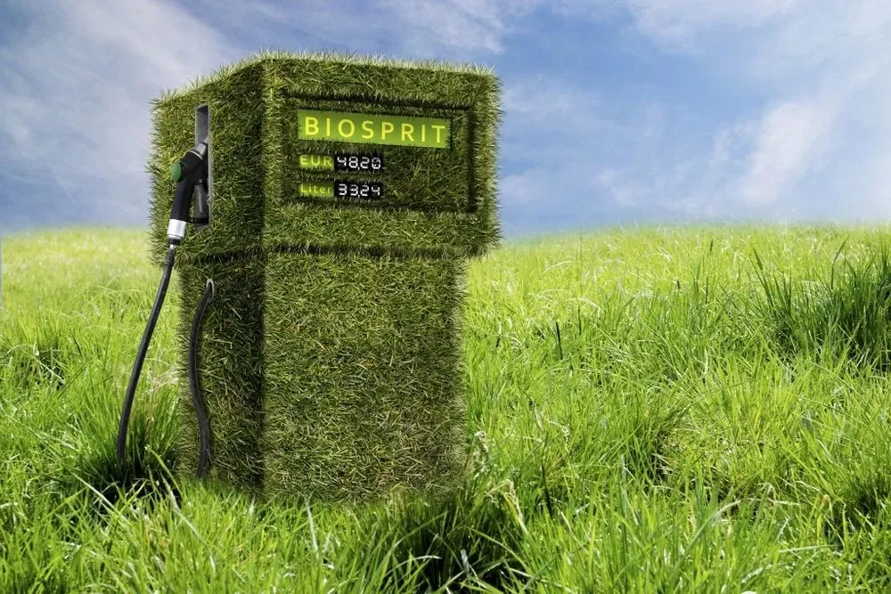 Оборудование для производства биодизеля в домашних условияхУтепление Дома