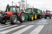 Польские фермеры сегодня выйдут на масштабные протесты против украинского импорта