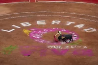 Под крики "Убийцы": в Мехико впервые за 1,5 года состоялся бой быков
