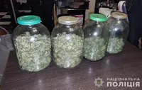 Cannabis in puffs: police expose three "weed" lovers in Zaporizhzhia