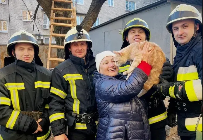 every-life-is-important-ses-shows-how-rescuers-saved-two-cats