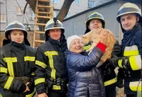 Каждая жизнь важна: в ГСЧС показали, как чрезвычайники спасли двух котиков