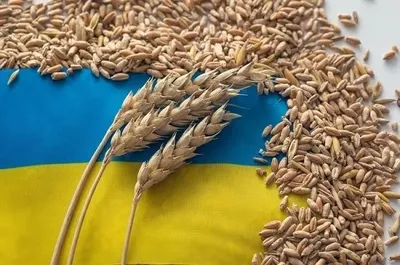 De-shadowing of exports in Odesa region: Nibulon says it was difficult, but now it is even profitable