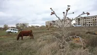 Ukraine has finally abandoned the Soviet type of settlement "urban village"