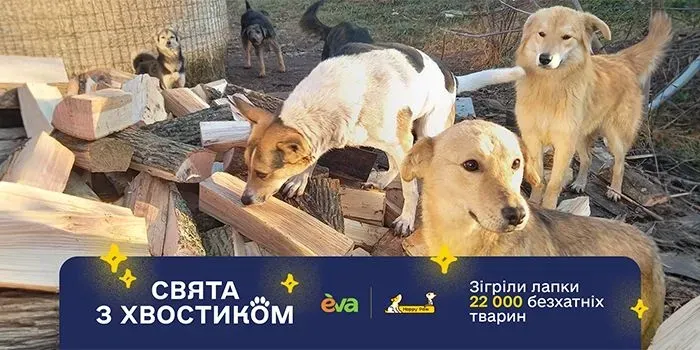 Лапки в теплі: українці зібрали понад 2 мільйони гривень, щоб зігріти десятки тисяч безхатніх тварин