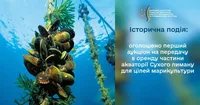 Україна проведе перший аукціон з оренди частини Сухого лиману для вирощування молюсків та креветок