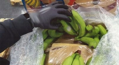 A gigantic batch of cocaine in banana boxes was found in Germany