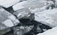 На Полтавщине три рыбака провалились под лед, один из них - погиб