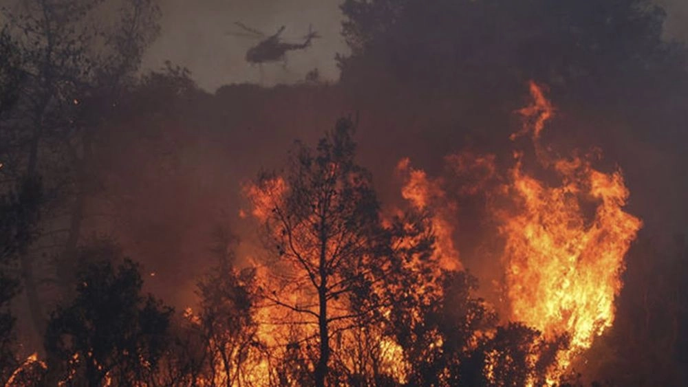 Число жертв від лісових пожеж у Чилі зросла до 46