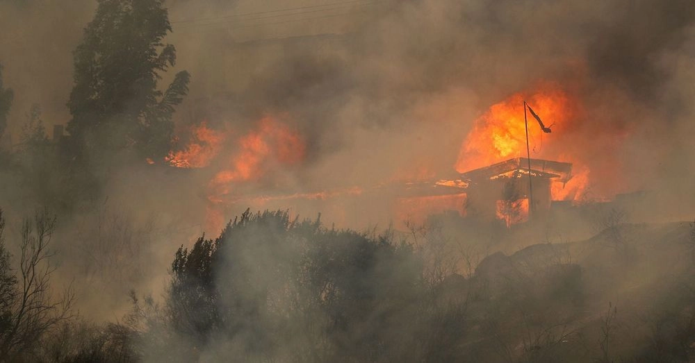 Кількість жертв від лісових пожеж у Чилі вже зросла до 51