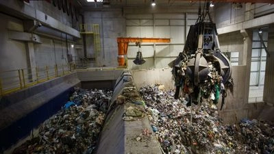 ЕС призывают поддержать обязательную сортировку смешанных бытовых отходов