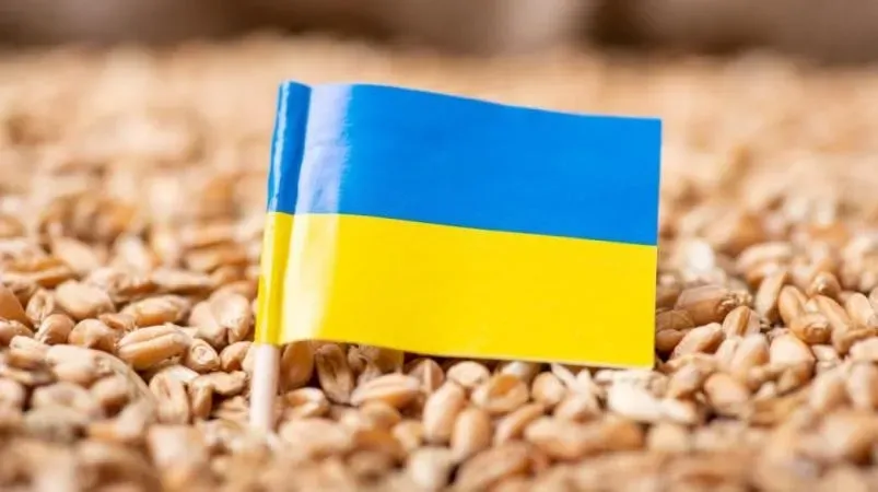 Poland promises "zero tolerance" to those who illegally trade in Ukrainian agricultural products