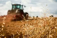 The Ministry of Agrarian Policy and Food told how subsidies to farmers will be distributed in 2024