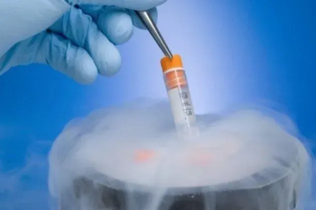 Рада разрешила клиникам хранить, а не утилизировать замороженные репродуктивные клетки погибших военных