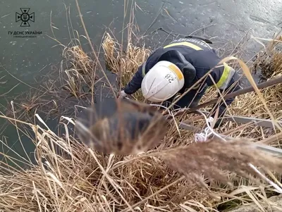 In Vinnytsia region, rescuers recover the body of a man who went missing in December 2023 from a pond
