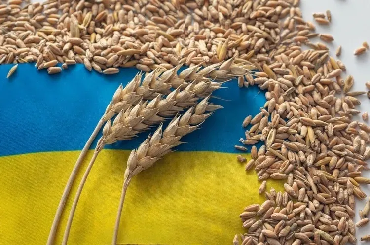 Poland wants to publish a list of companies that imported Ukrainian grain worth almost one and a half billion euros