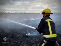 In Odesa, children set fire to reeds: almost one and a half hectares burned
