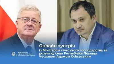 Ситуація на кордоні та експорт української продукції: Сольський провів онлайн-зустріч з польським колегою 