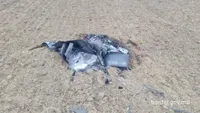 Similar to "Geranium-2": fragments of a drone found in southern Moldova near the border with Ukraine