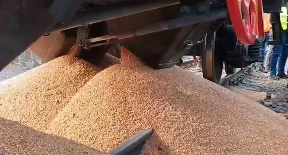 Польские фермеры возле пункта пропуска  "Медика-Шегини" рассыпали зерно из грузового вагона
