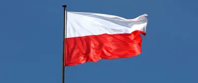 Blockade of the Polish border: Warsaw admits that Ukrainian grain does not stay in Poland
