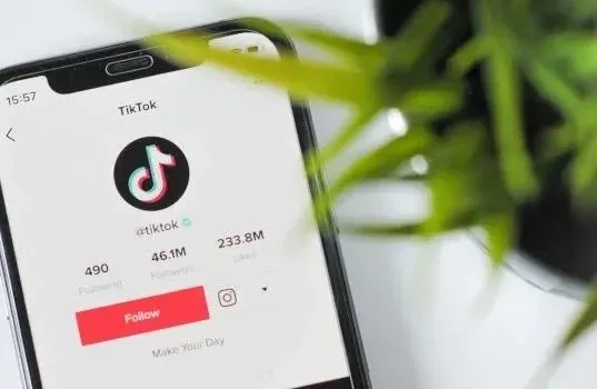 TikTok has made music even more accessible around the world, including in Ukraine