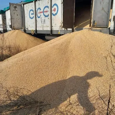A new large-scale act of vandalism: Ukrainian grain was poured out of 8 gondola cars in Poland, Kubrakov reacts