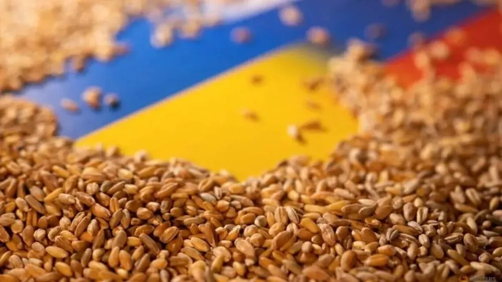 Ukraine exported 12 million tons of grain by sea in January