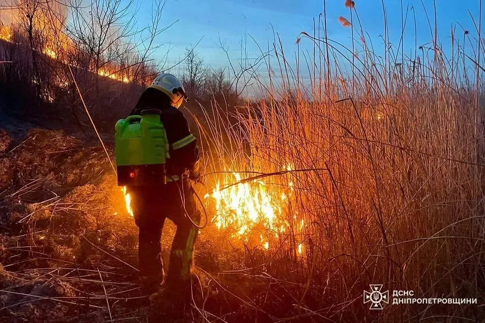 В Україні за добу сталось понад 100 пожеж: рятувальники закликали українців не підпалювати суху траву 