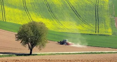 European Parliament passes law on nature conservation, which was preceded by a heated debate