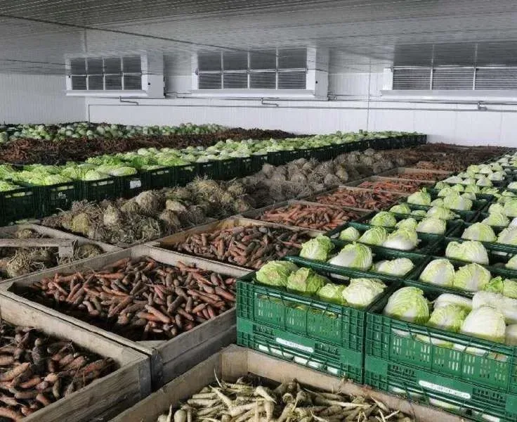Українські фермери планують цьогоріч побудувати овочесховищ на 40 тис. тонн - Комітет ВР